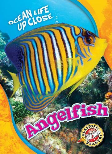 Бумажная книга «Angelfish», автор Натан Соммер - фото №1