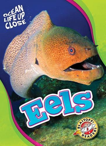 Бумажная книга «Eels», автор Натан Соммер - фото №1