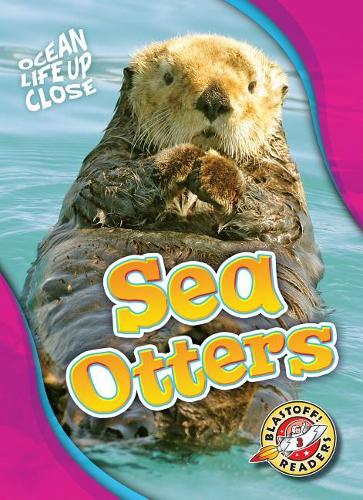 Бумажная книга «Sea Otters», автор Натан Соммер - фото №1