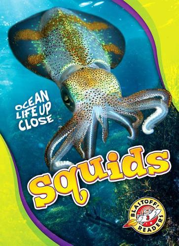 Бумажная книга «Squids», автор Натан Соммер - фото №1