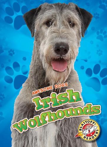 Бумажная книга «Irish Wolfhounds Irish Wolfhounds», автор Пейдж В. Полински - фото №1