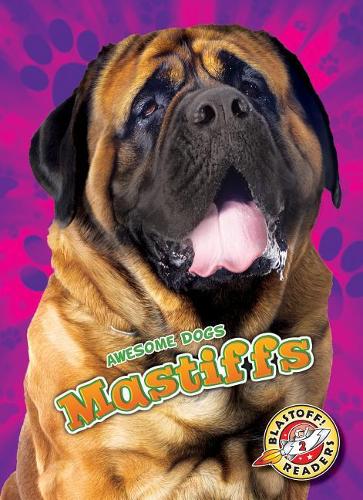 Паперова книга «Mastiffs Mastiffs», автор Пейдж В. Полінські - фото №1