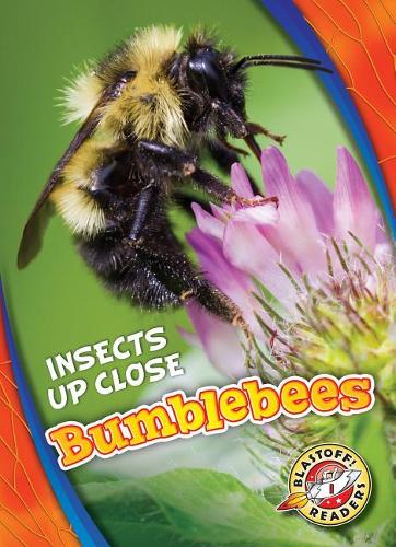 Бумажная книга «Bumblebees», автор Патрик Периш - фото №1