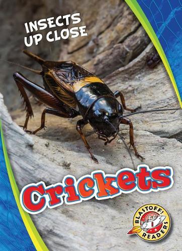 Бумажная книга «Crickets», автор Патрик Периш - фото №1