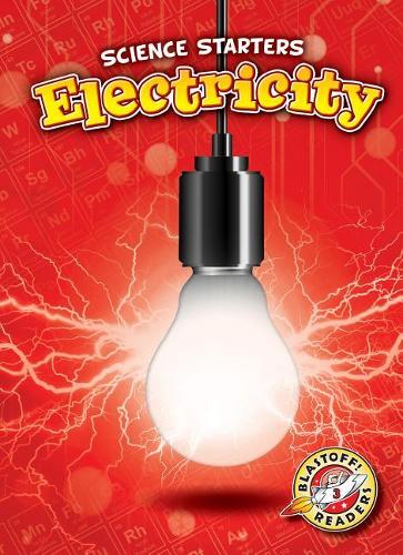 Паперова книга «Electricity», автор Ребекка Петтіфорд - фото №1