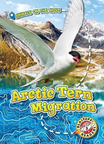 Бумажная книга «Arctic Tern Migration», автор Кари Шутц - фото №1