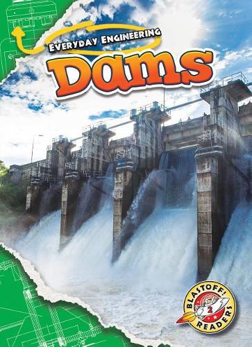 Паперова книга «Dams», автор Кріс Боумен - фото №1