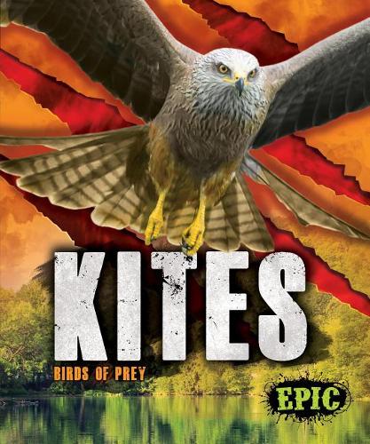 Бумажная книга «Kites: Birds of Prey», автор Натан Соммер - фото №1
