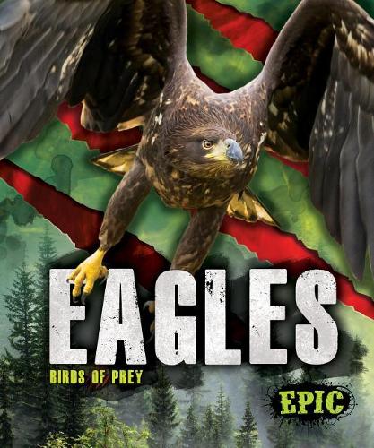 Бумажная книга «Eagles», автор Натан Соммер - фото №1