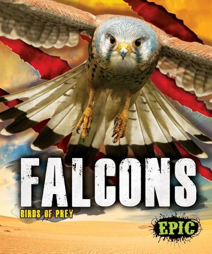 Бумажная книга «Falcons», автор Натан Соммер - фото №1