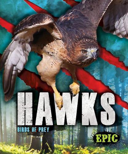 Бумажная книга «Hawks: Birds of Prey», автор Натан Соммер - фото №1