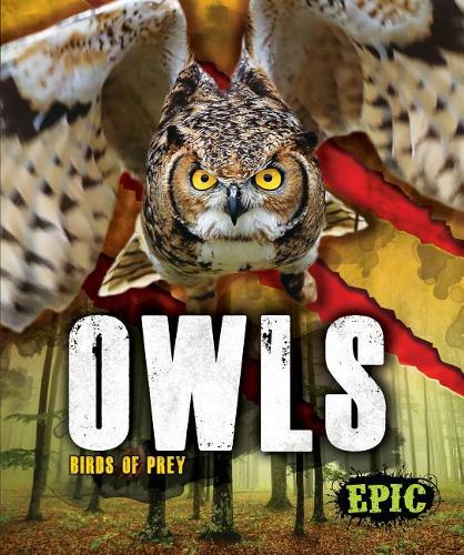 Бумажная книга «Owls», автор Натан Соммер - фото №1