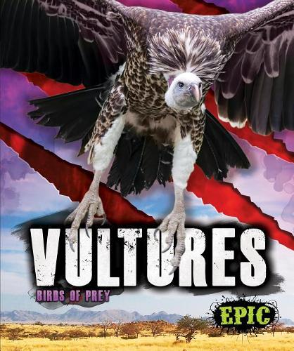 Бумажная книга «Vultures», автор Натан Соммер - фото №1