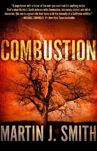 Бумажная книга «Combustion», автор Мартин Дж. Смит - фото №1