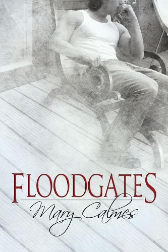 Бумажная книга «Floodgates», автор Мэри Кэлме - фото №1