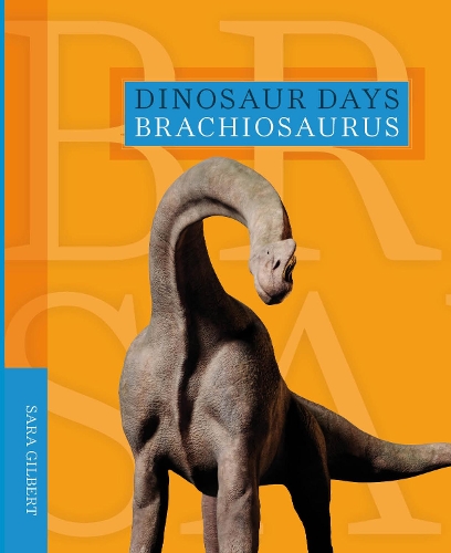 Паперова книга «Brachiosaurus», автор Сара Гілберт - фото №1