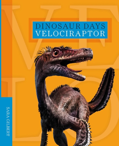 Паперова книга «Dinosaur Days: Velociraptor», автор Сара Гілберт - фото №1