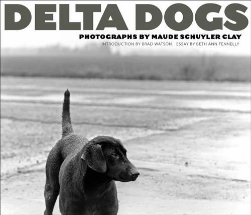 Бумажная книга «Delta Dogs», автор Мод Шуйлер Клэй - фото №1