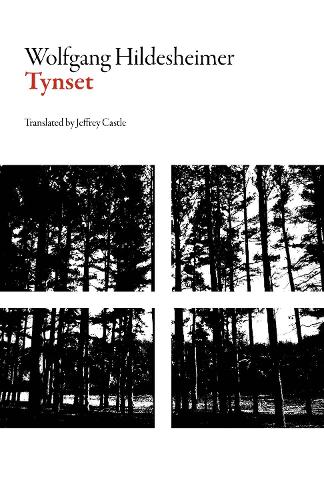 Паперова книга «Tynset», автор Вольфганг Гільдесгаймер - фото №1