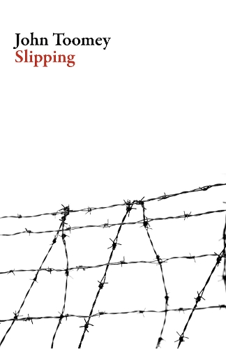 Бумажная книга «Slipping», автор Джон Туми - фото №1