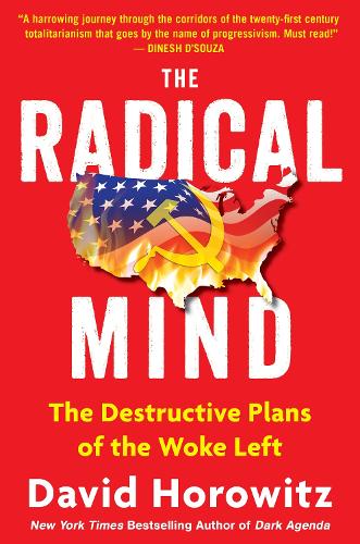 Паперова книга «Course of Destruction: Social Justice and the End of America», автор Девід Горовіц - фото №1