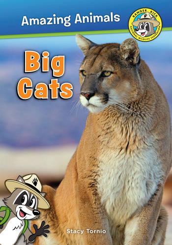 Бумажная книга «Wild Cats», автор Стейси Торнио - фото №1