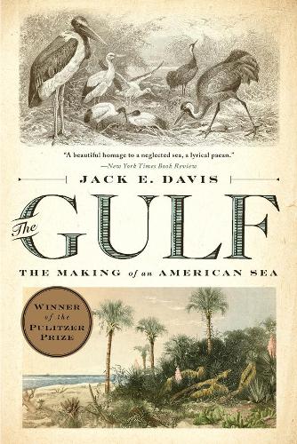 Бумажная книга «The Gulf: The Making of An American Sea», автор Джек Э. Дэвис - фото №1