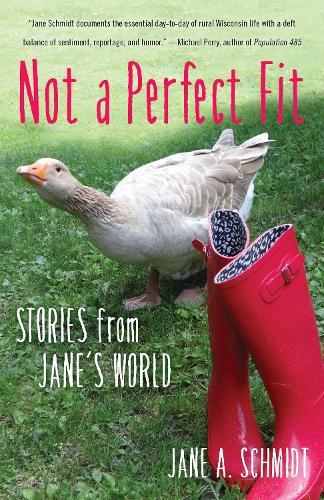 Паперова книга «Not a Perfect Fit: Stories from Jane's World», автор Джейн А. Шмідт - фото №1