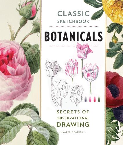Бумажная книга «Classic Sketchbook: Botanicals: Secrets of Observational Drawing», автор Валери Бэйнс - фото №1