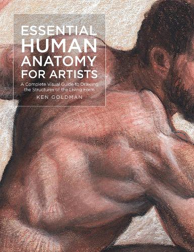 Паперова книга «Essential Human Anatomy for Artists: A Complete Visual Guide to Drawing the Structures of the Living Form», автор Кен Голдман - фото №1