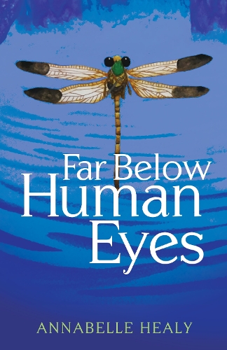 Бумажная книга «Far Below Human Eyes», автор Аннабел Хили - фото №1