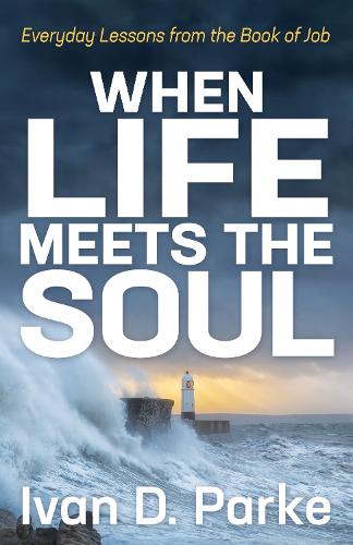 Бумажная книга «When Life Meets the Soul: Everyday Lessons from the Book of Job», автор Иван Д. Парк - фото №1