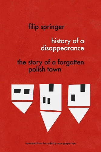 Бумажная книга «History Of A Disappearance: The Story of a Forgotten Polish Town», авторов Филип Спрингер, Шон Бай - фото №1
