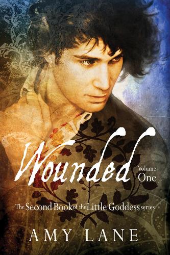 Бумажная книга «Wounded, Vol. 1», автор Эми Лейн - фото №1