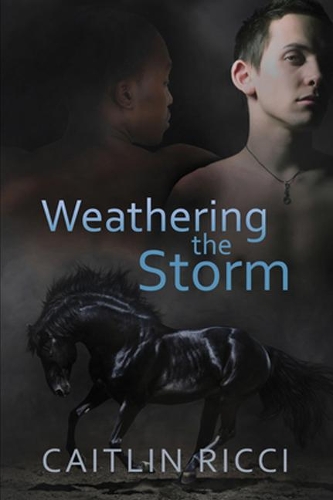 Бумажная книга «Weathering the Storm Volume 1», автор Кейтлин Риччи - фото №1
