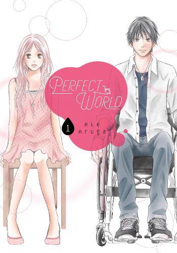 Паперова книга «Perfect World 1», автор Ріє Аруга - фото №1