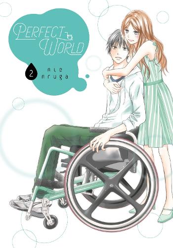 Паперова книга «Perfect World 2», автор Ріє Аруга - фото №1