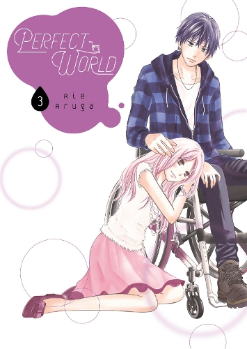 Паперова книга «Perfect World 3», автор Ріє Аруга - фото №1