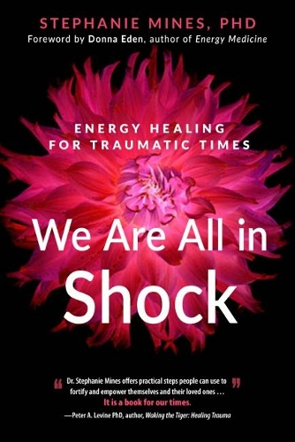 Бумажная книга «We are All in Shock: Energy Healing for Traumatic Times», автор Стефани Майнс - фото №1
