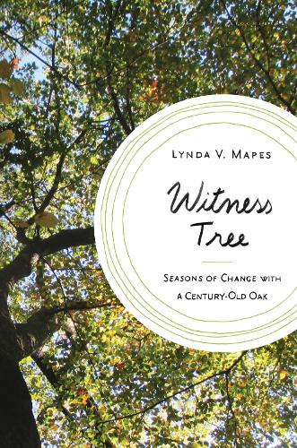 Бумажная книга «Witness Tree: Seasons of Change with a Century-Old Oak», автор Линда В. Мейпс - фото №1