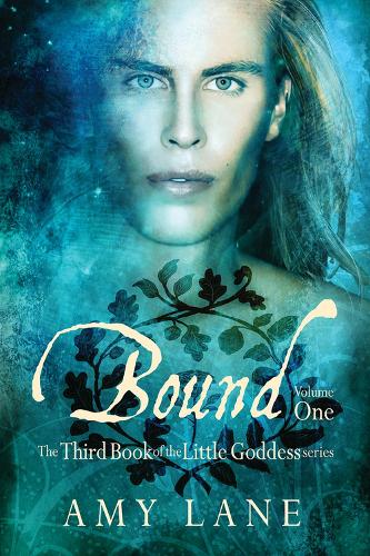 Бумажная книга «Bound, Vol. 1», автор Эми Лейн - фото №1