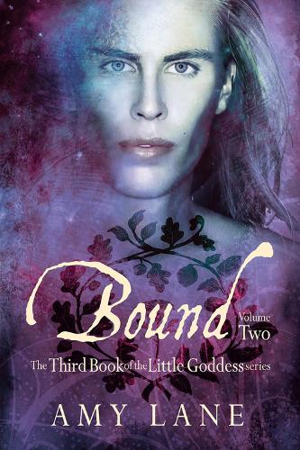 Бумажная книга «Bound, Vol. 2», автор Эми Лейн - фото №1