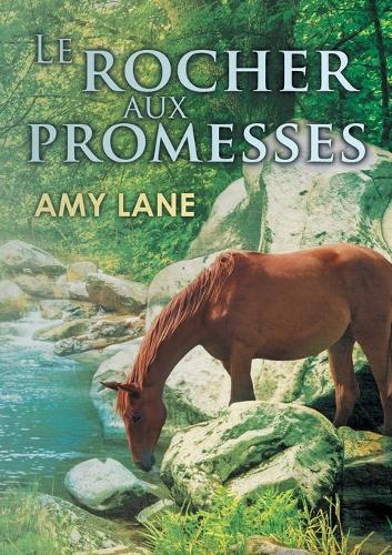 Паперова книга «Le Rocher Aux Promesses», автор Емі Лейн - фото №1
