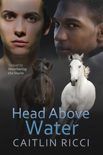 Бумажная книга «Head Above Water Volume 2», автор Кейтлин Риччи - фото №1