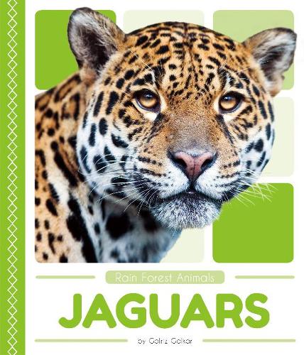 Паперова книга «Rain Forest Animals: Jaguars», автор Голріз Голькар - фото №1