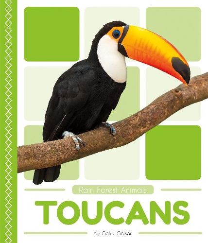 Паперова книга «Rain Forest Animals: Toucans», автор Голріз Голькар - фото №1