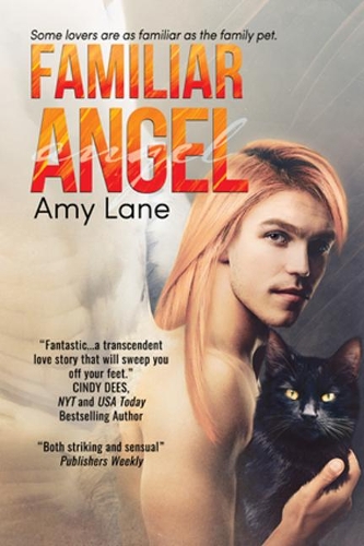 Паперова книга «Familiar Angel Volume 1», автор Емі Лейн - фото №1