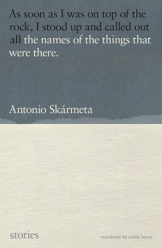 Бумажная книга «The Names Of The Things That Were There: Stories», авторов Антонио Скармета, Кертис Бауэр - фото №1