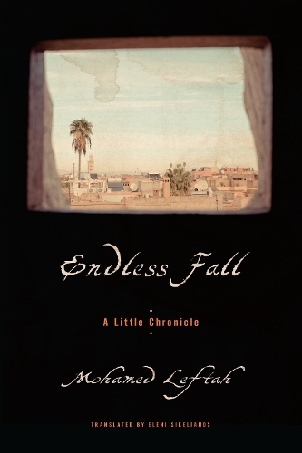 Бумажная книга «Endless Fall: A Little Chronicle», автор Мохамед Лефтах - фото №1