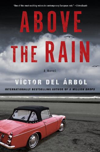 Паперова книга «Above The Rain: A Novel», авторів Ліза Ділман, Віктор дель Арболь - фото №1